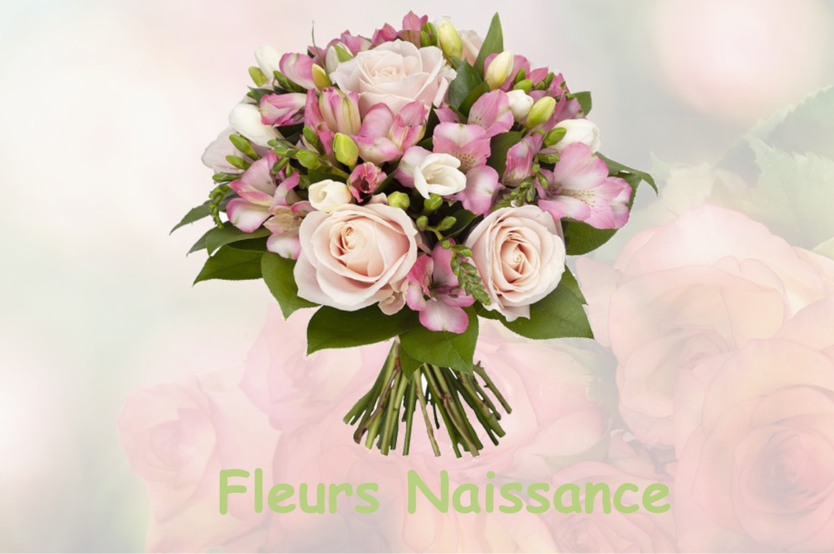 fleurs naissance L-HONOR-DE-COS